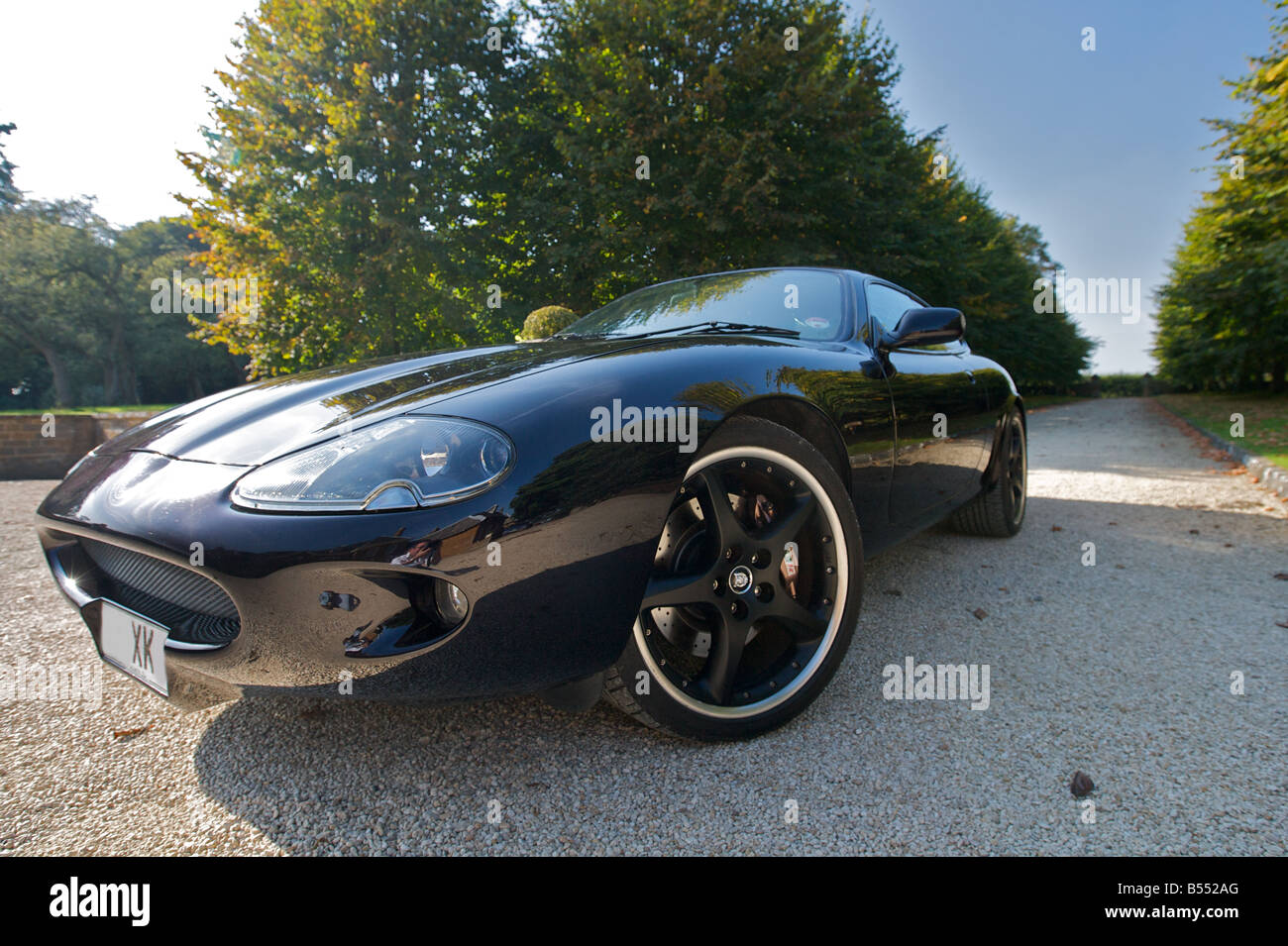 Jaguar XK8. Stock Photo