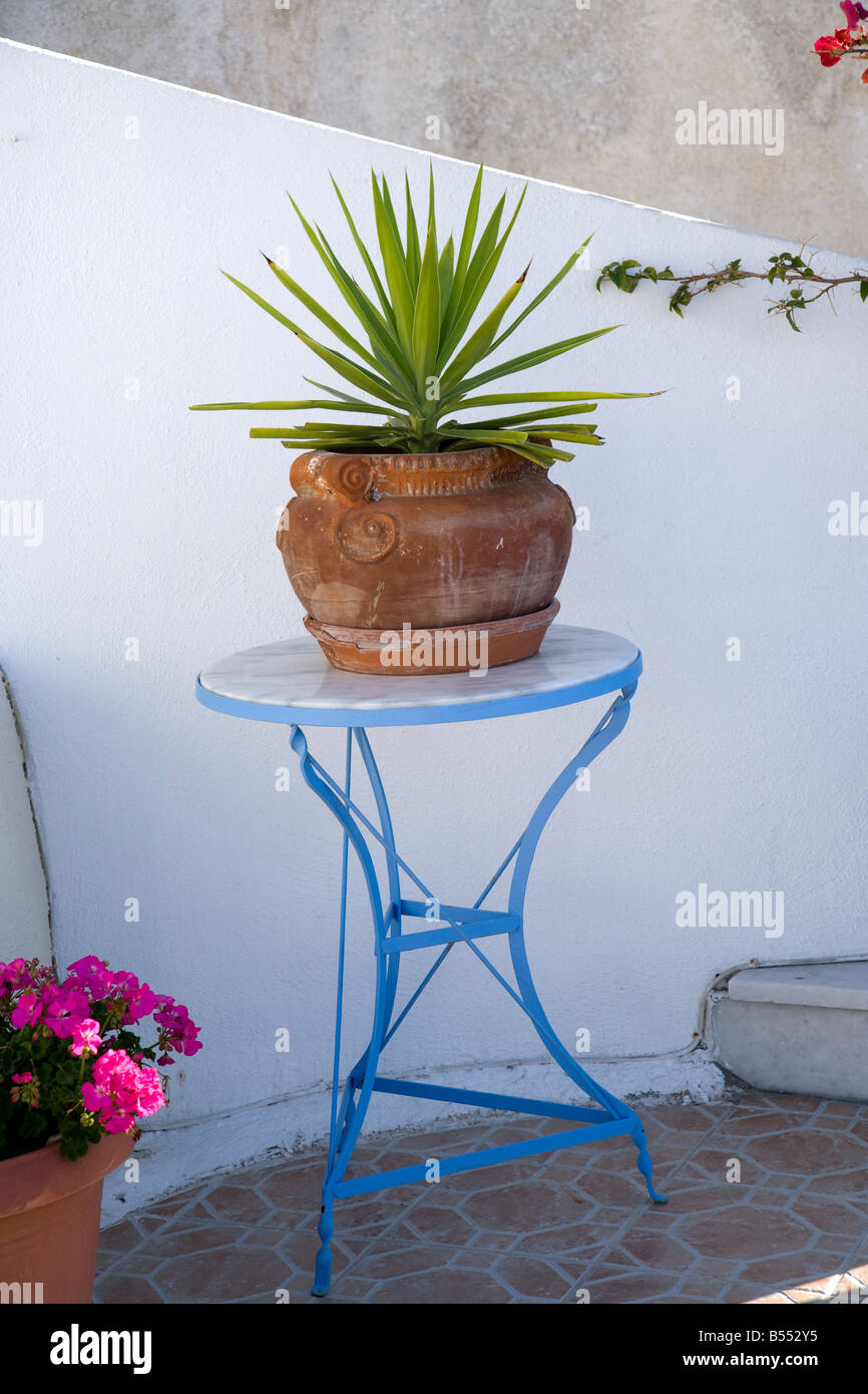 Blue Table and Yucca Plant Fira Santorini Cyclades Greece Stock Photo