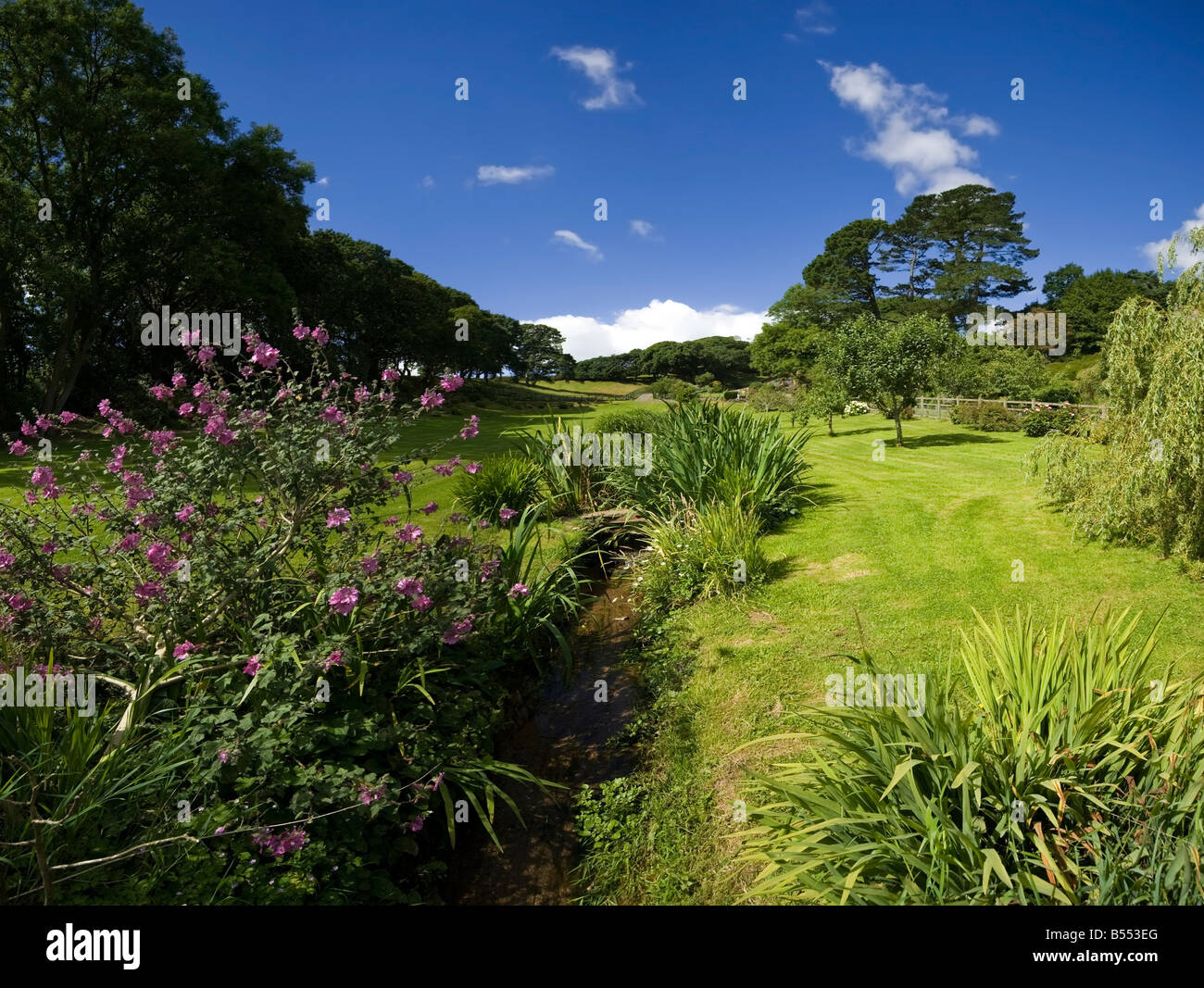 garden estuary of the river avon avedon gifford south hams devon