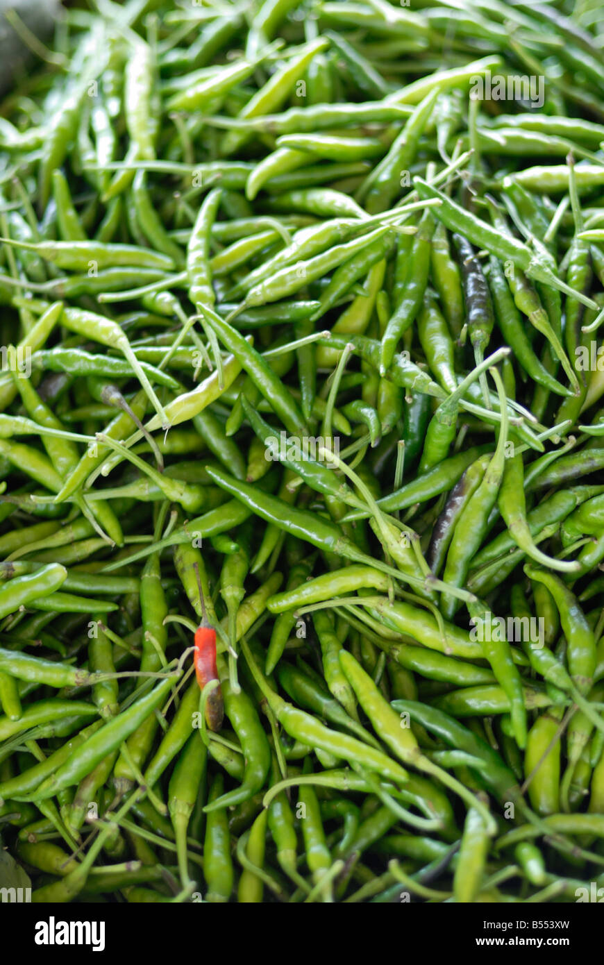 Green chilis hires stock photography and images Alamy