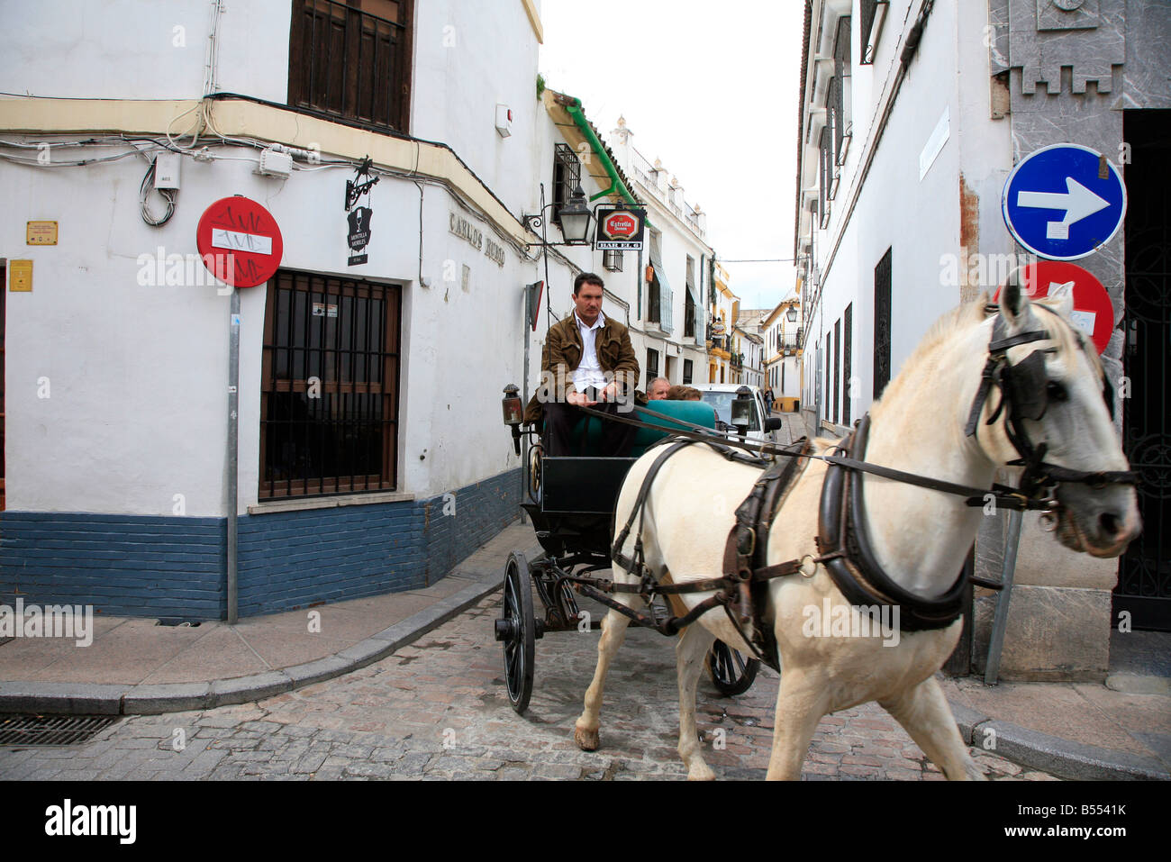 Traditional horse drawn carriage in Cordoba, Spain Stock Photo