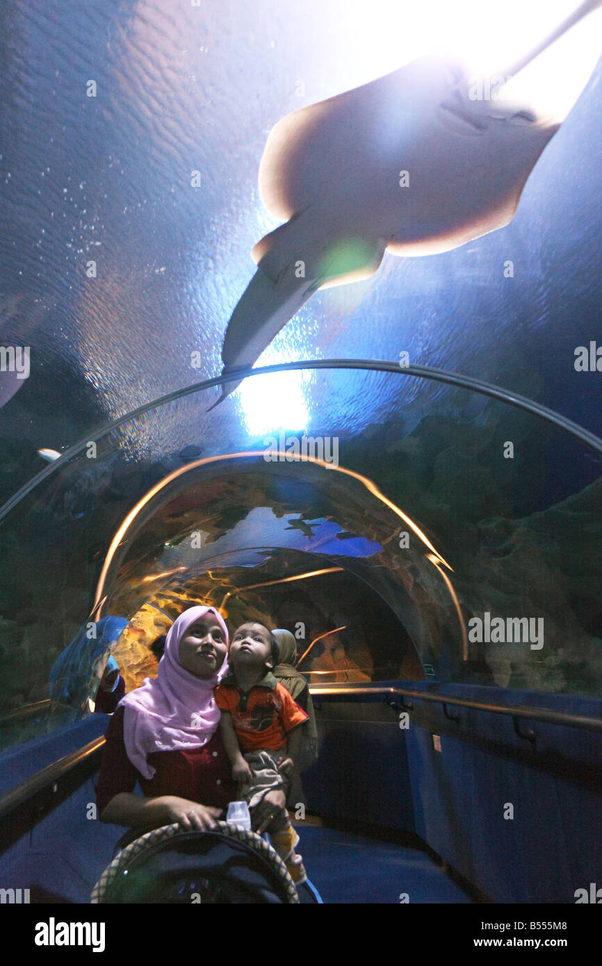 An experience of the underwater world at the KLCC Aquaria located in KLCC, Kuala Lumpur, Malaysia. Stock Photo