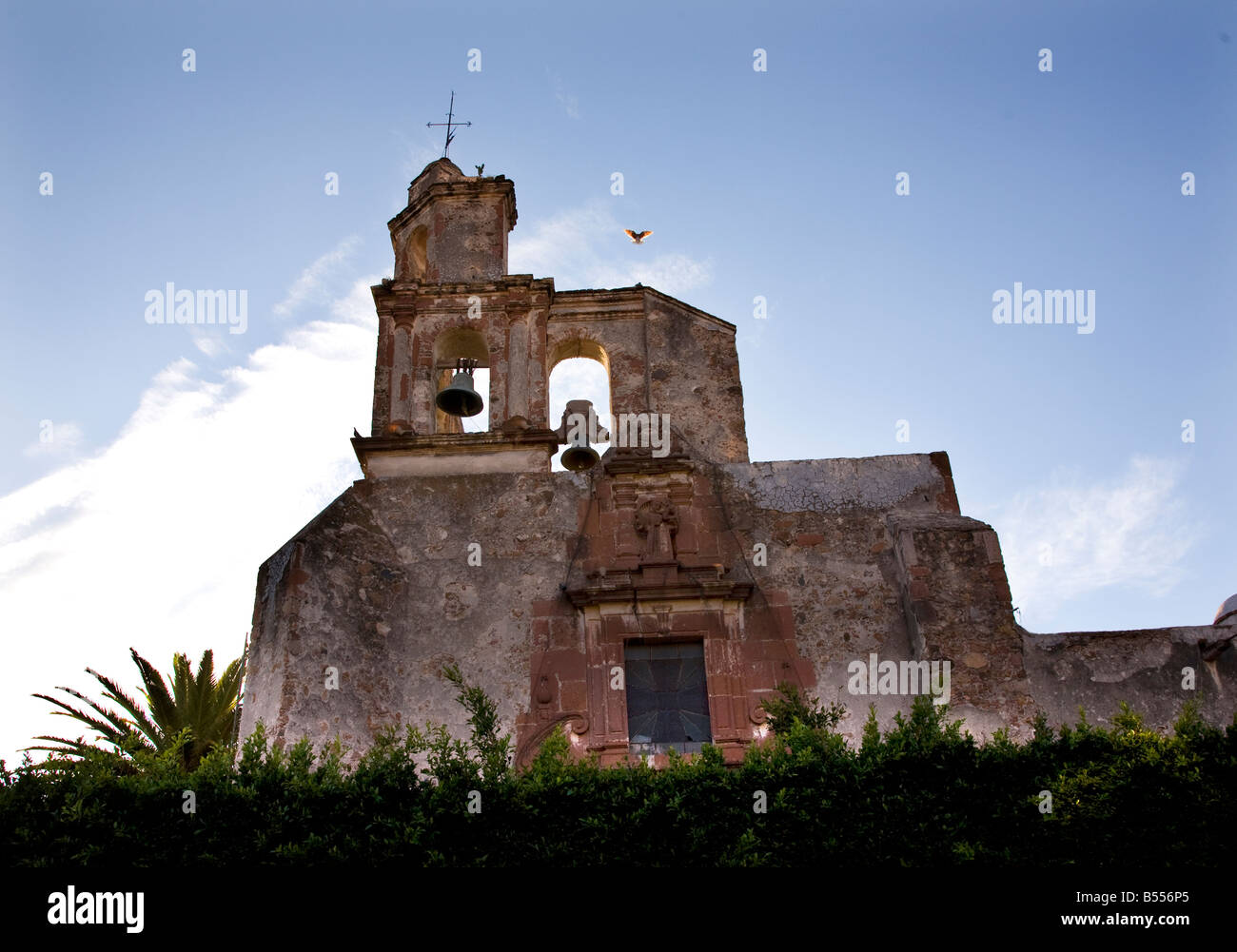 San Francisco Church bell tower steeple Pigeon San Miguel de Allende Mexico Sunset Stock Photo