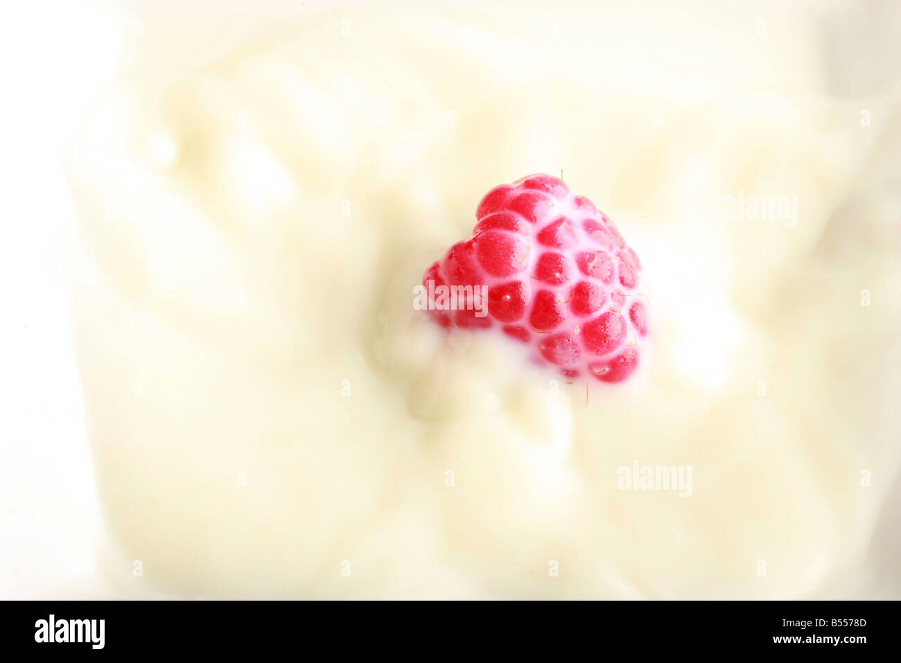 Fresh red raspberry splashing in milk Stock Photo Alamy