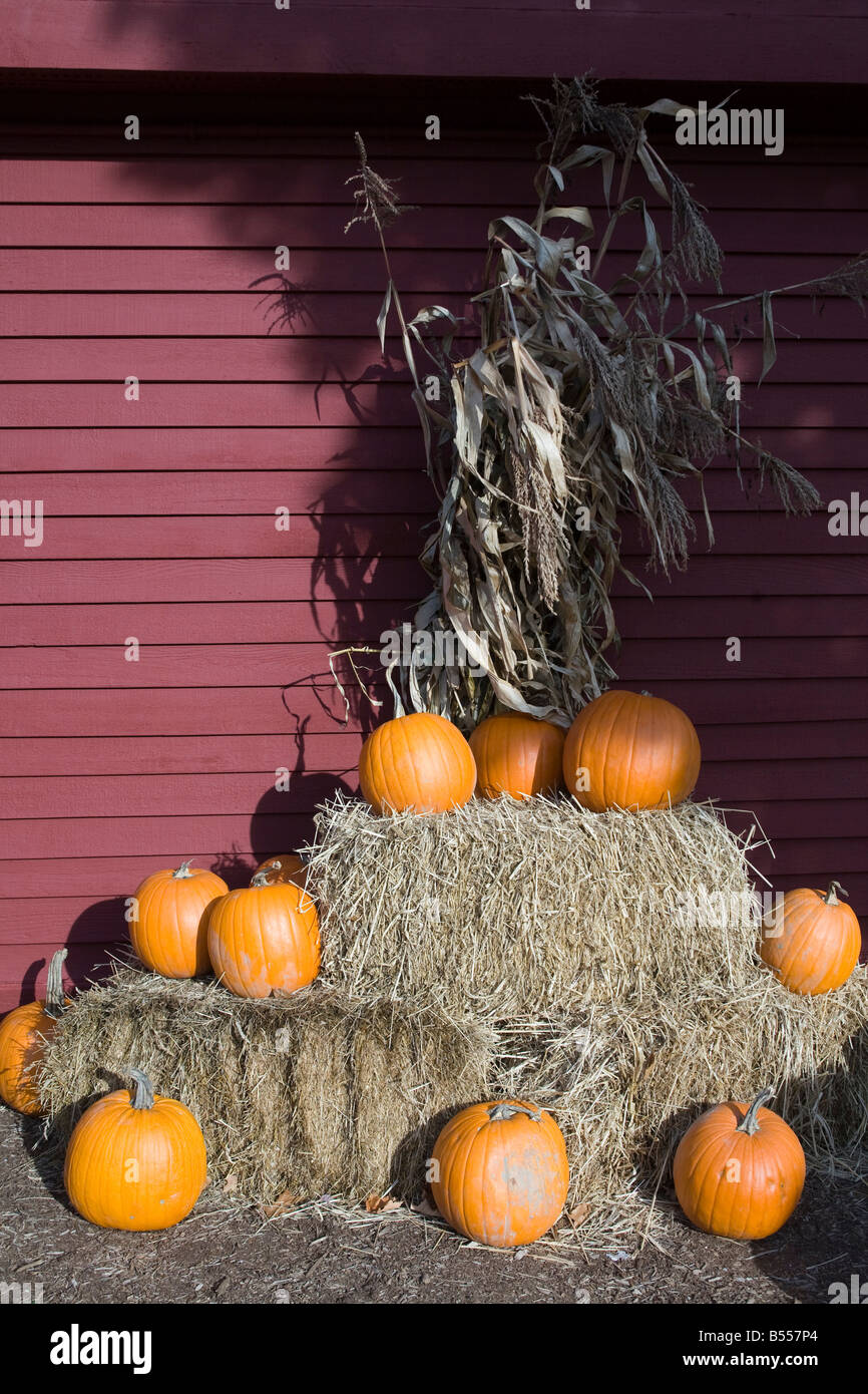 pumpkins on bales of hay Stock Photo - Alamy