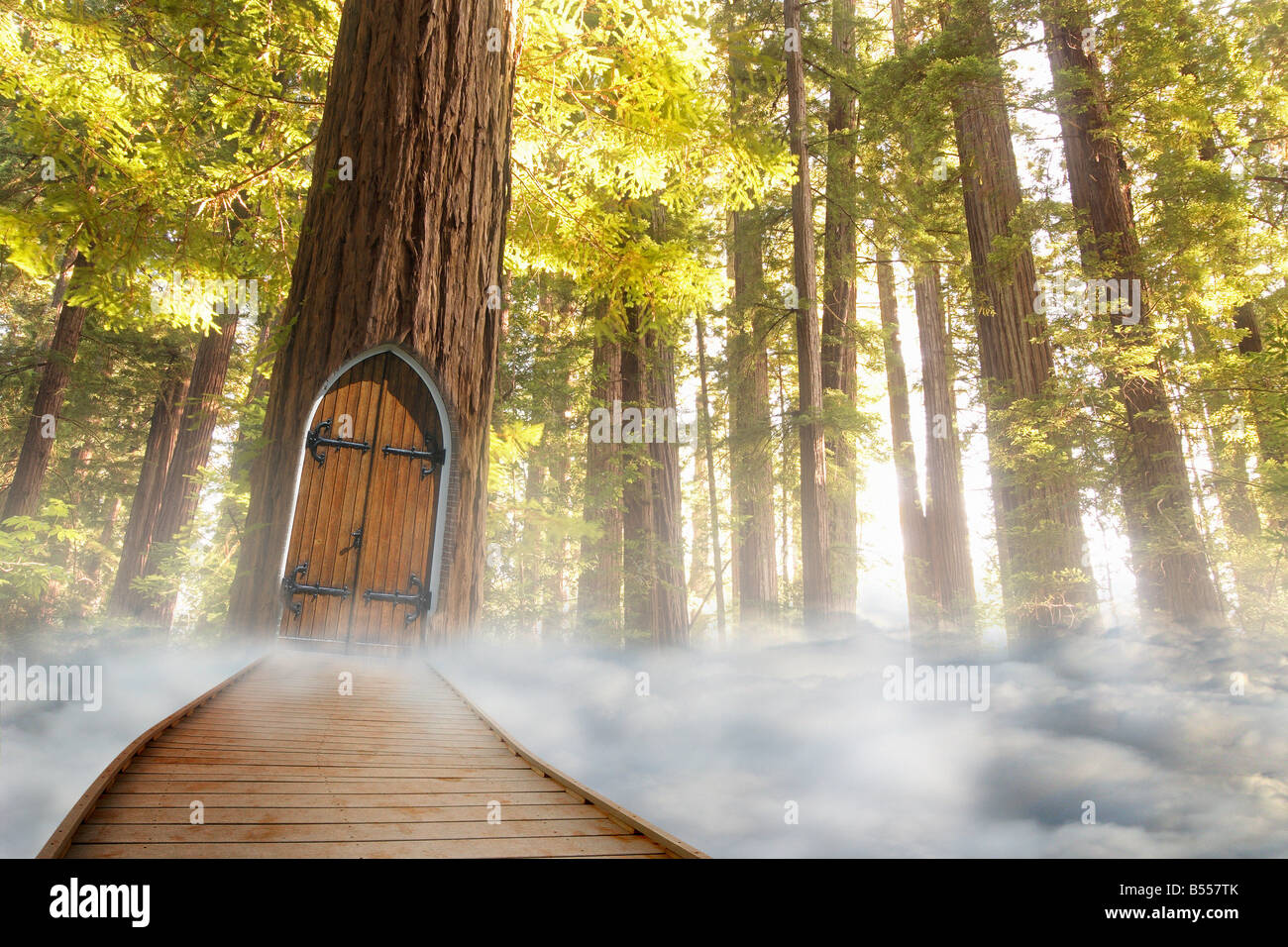 Surreal landscape with clouds & door & trees Stock Photo