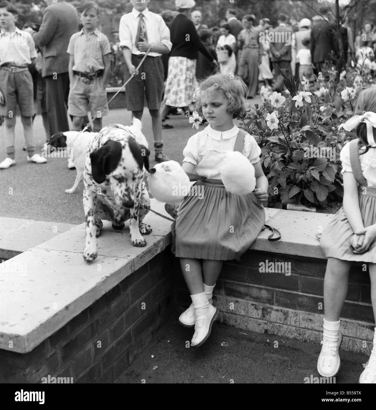 Animals: Dogs: Owners and contestants seen here talking part in The Daily Mirror Dog Show, London. July 1953 D3828-002 Stock Photo
