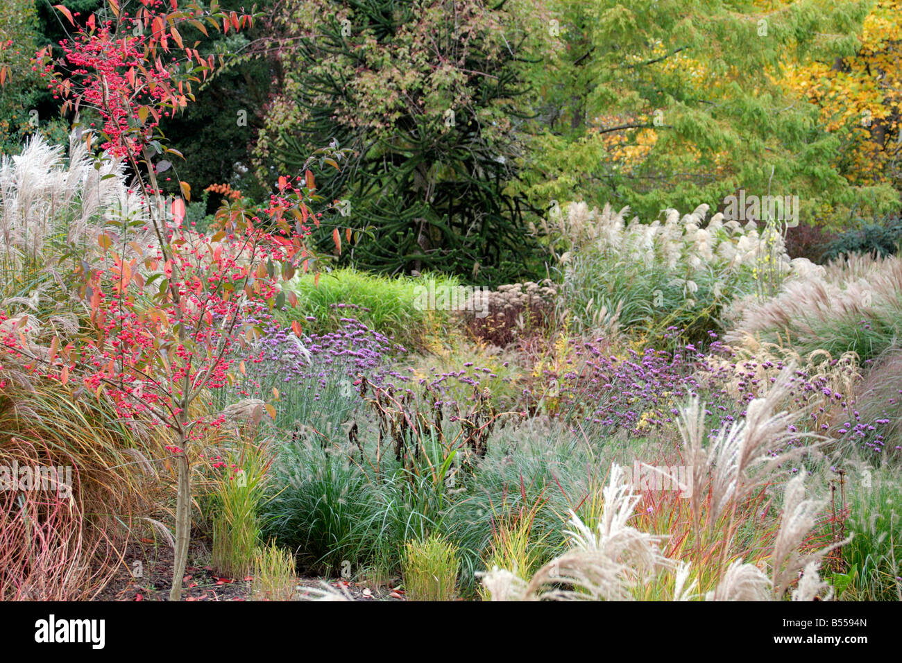 KNOLL GARDENS WIMBORNE DORSET DURING OCTOBER Stock Photo