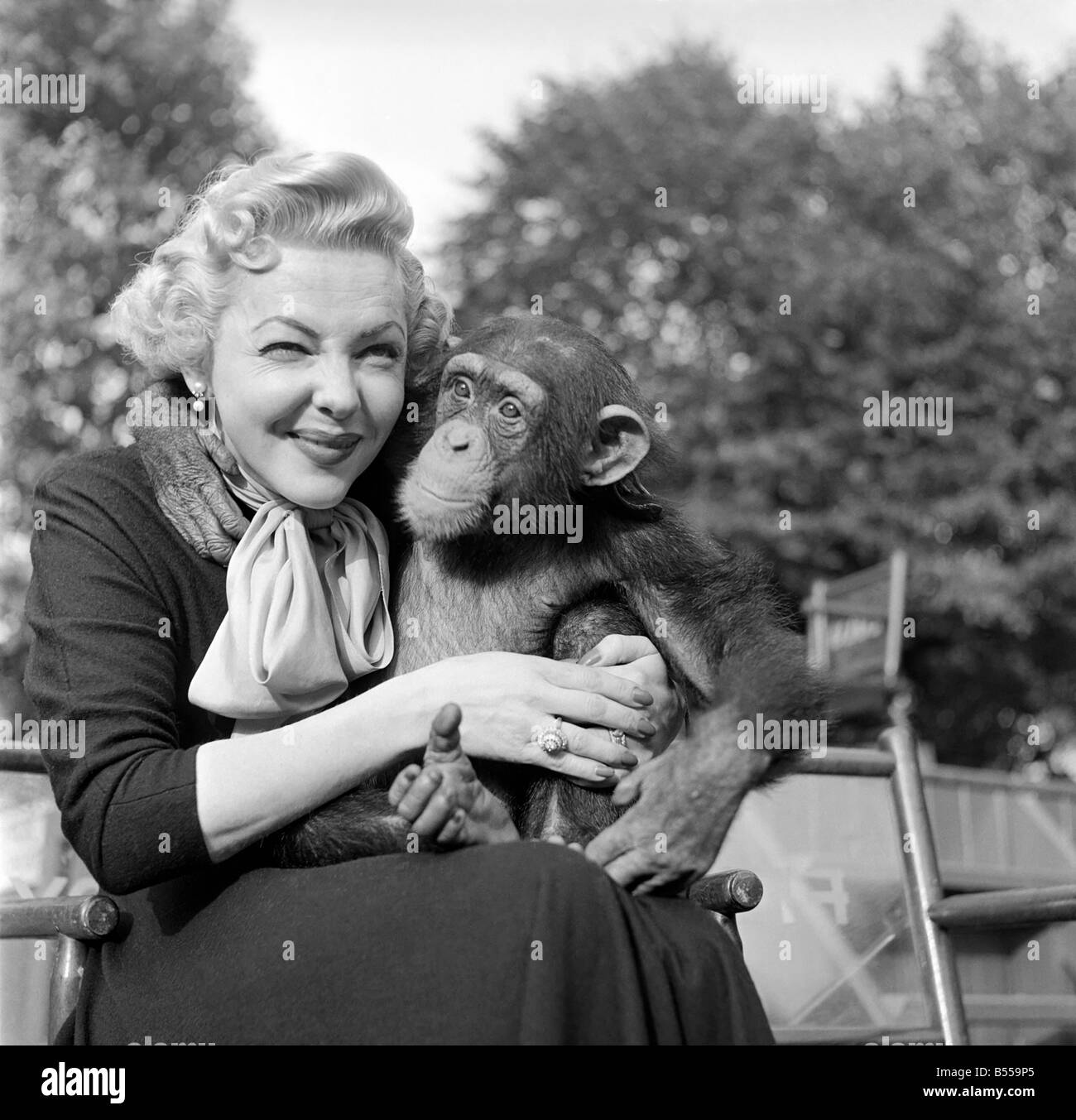 Miss Vivian Blaine of Guys and Dolls made a special visit to the London Zoo to take American apple pie to the chimpanzees tea party. September 1953 D5660-001 Stock Photo