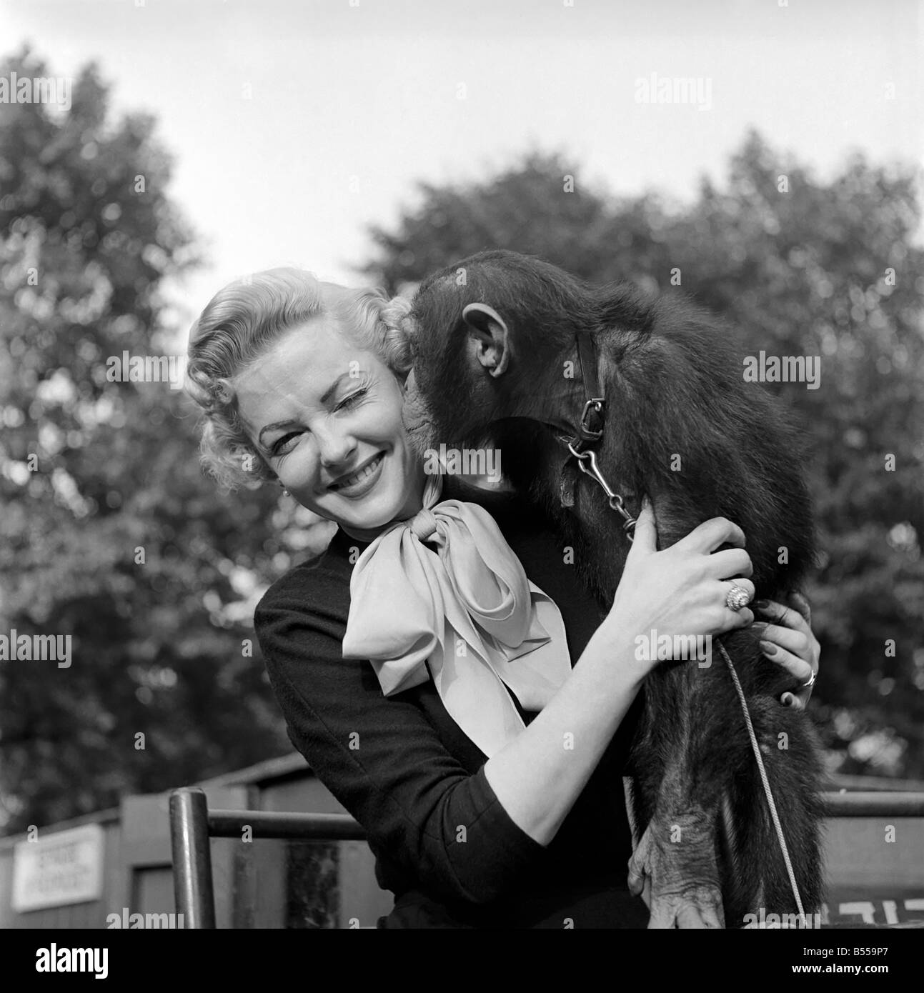 Animals: Monkeys. Miss Vivian Blaine of Guys and Dolls made a special visit to the London Zoo to take American apple pie to the Stock Photo