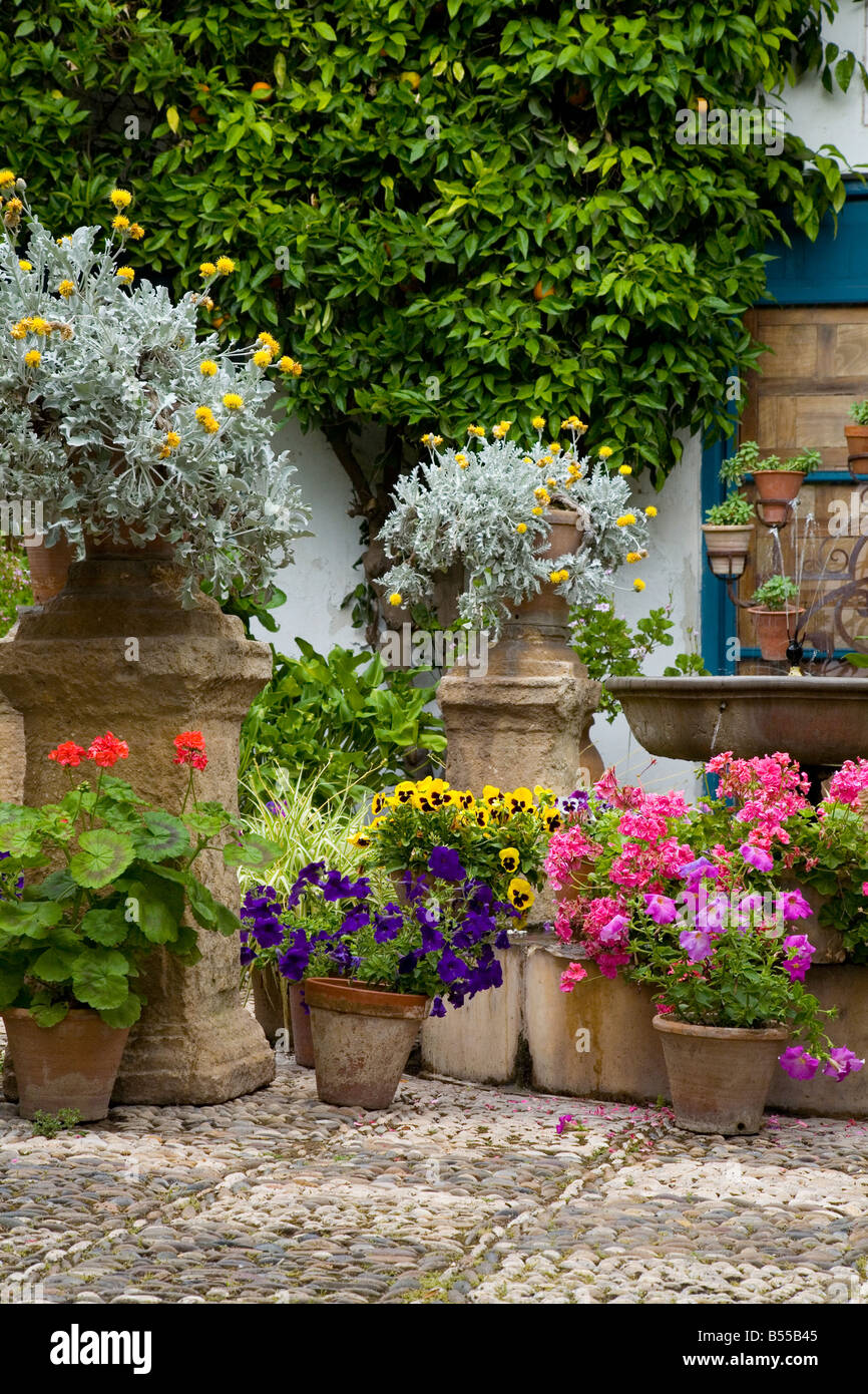 Plant Pots In A Mediterranean Courtyard Garden Part Of The
