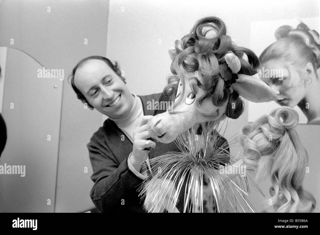 Mr. David Riche the hairdresser has designed a 4ft giraffe that can ...