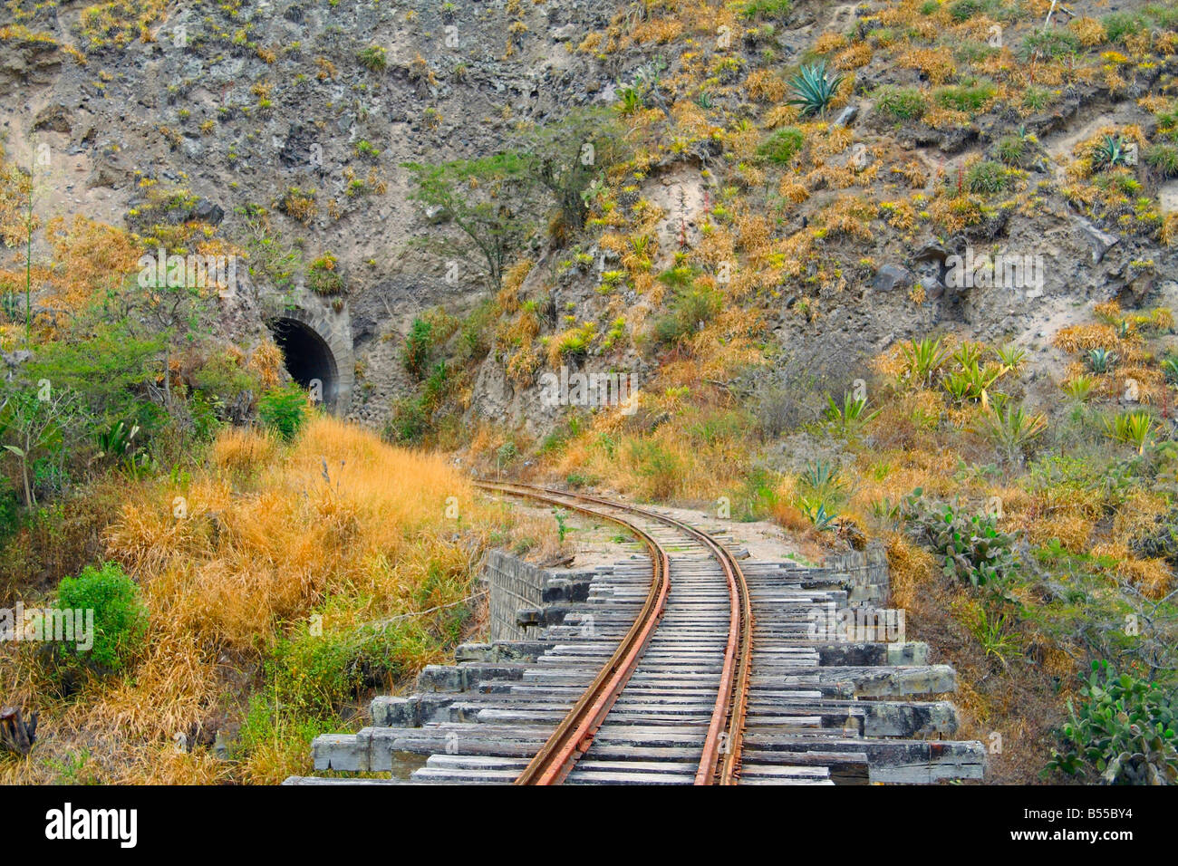 Tunnel on the Chaski Antawa (Messenger Train) route, Ecuador Stock Photo