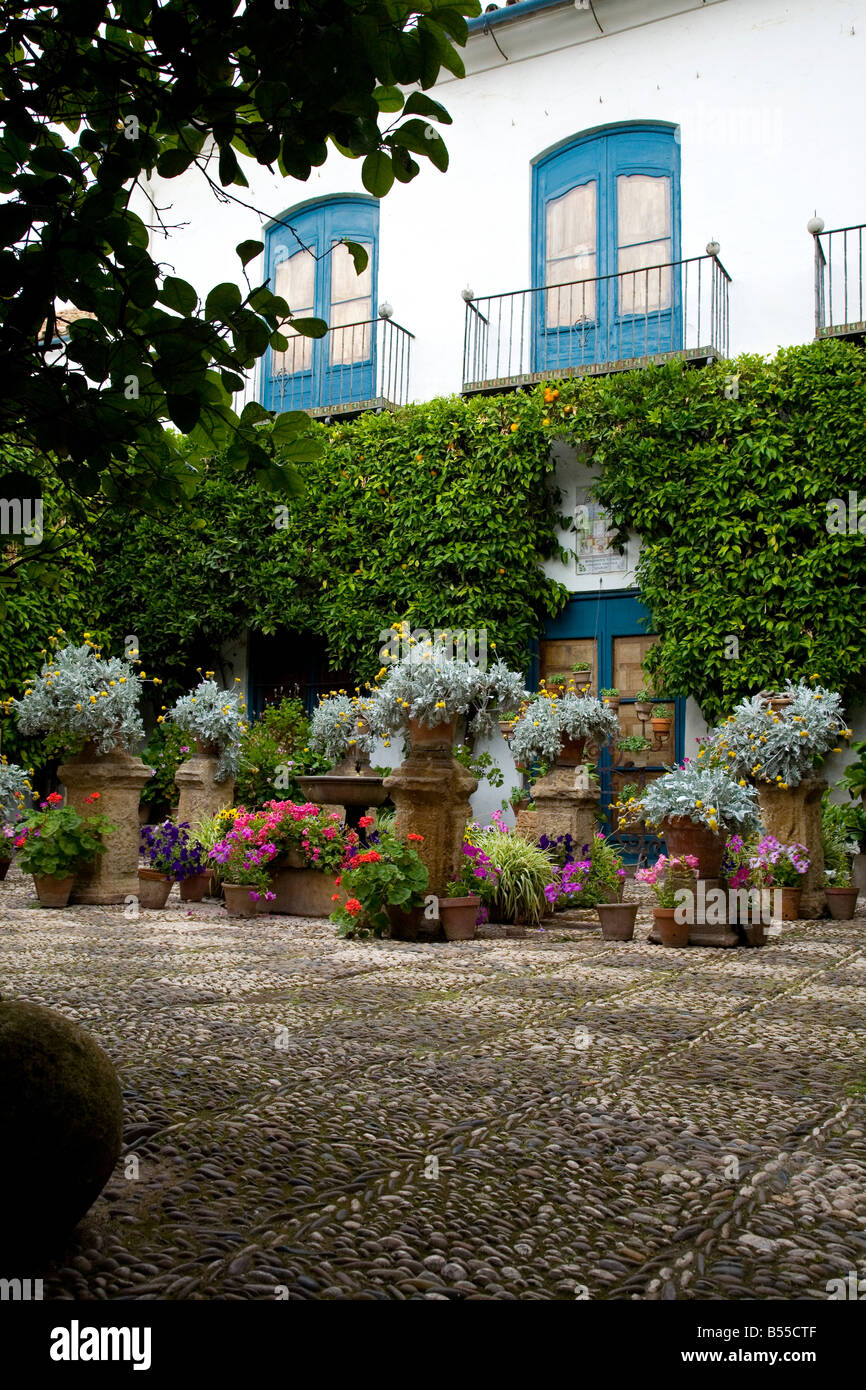 Plant pots in a Mediterranean courtyard garden part of The Festival of Patios, Cordoba Andalucia Spain. El Concurso de los patio Stock Photo
