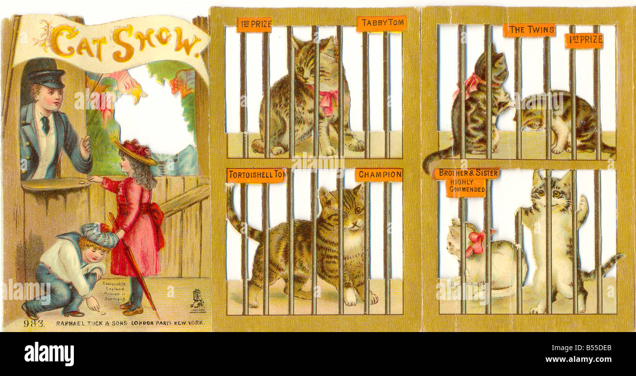 Victorian cat show hires stock photography and images Alamy