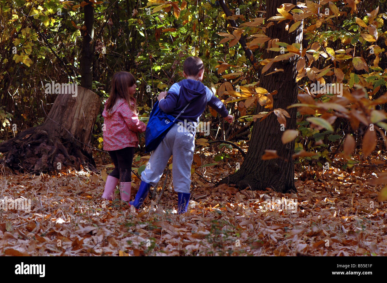 Brother and sister walking through Autumn leaves Stock Photo - Alamy