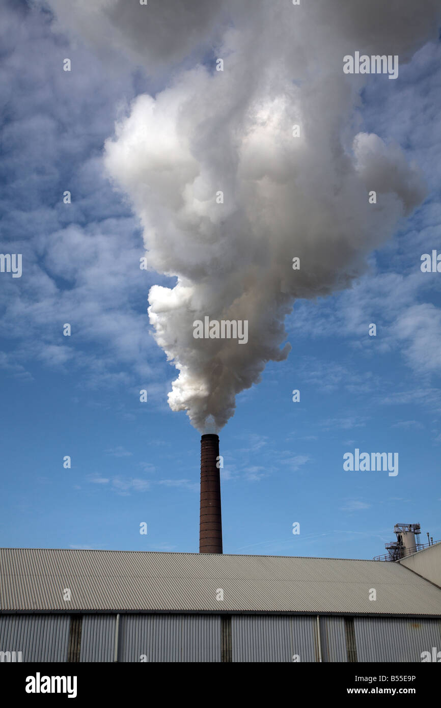 Steam smoke rising from chimney of sugar beet factory Bury St Edmunds ...