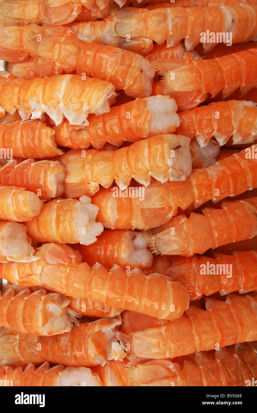 Raw uncooked lobster tails great for backgrounds and seafood images