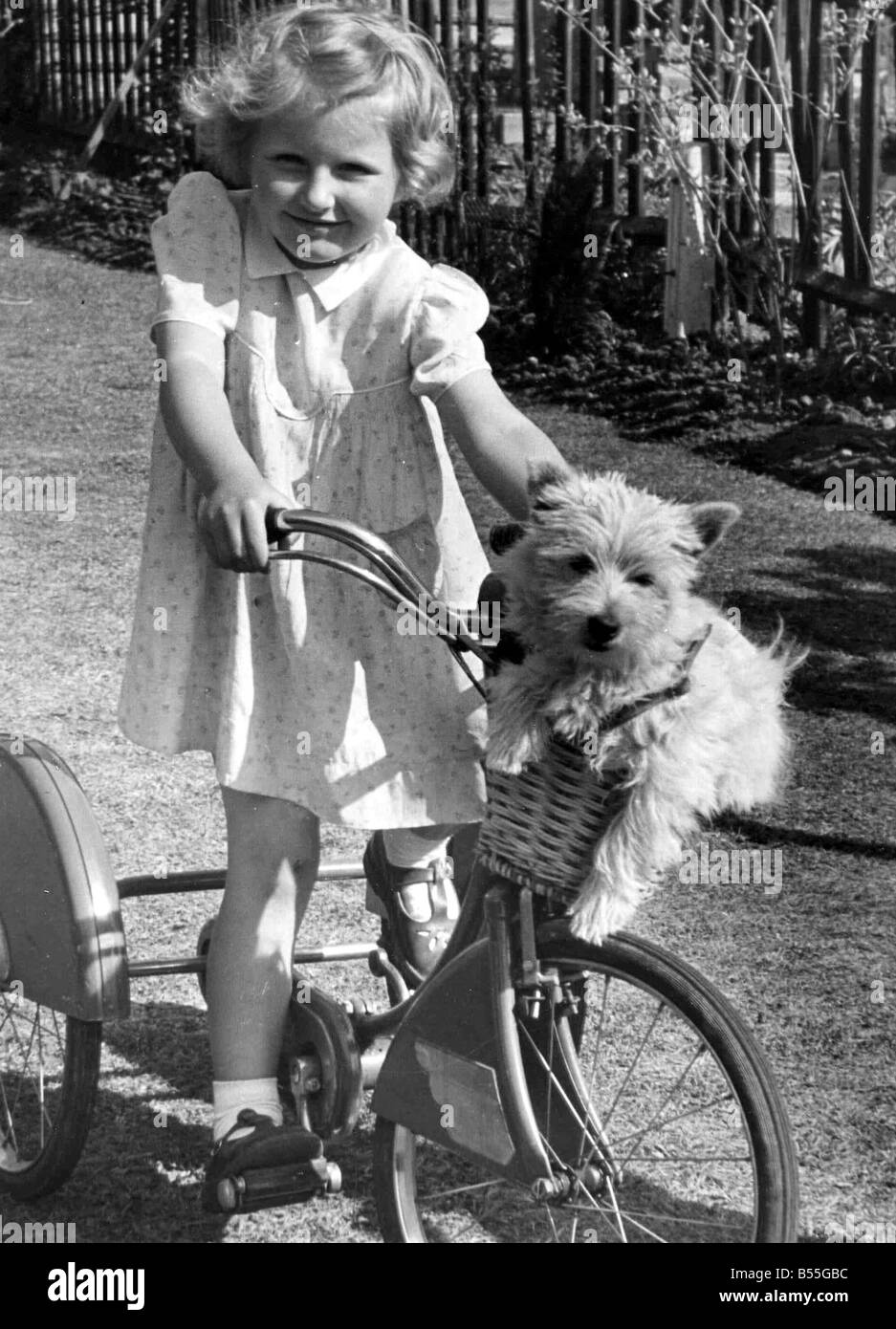 little girl bike basket