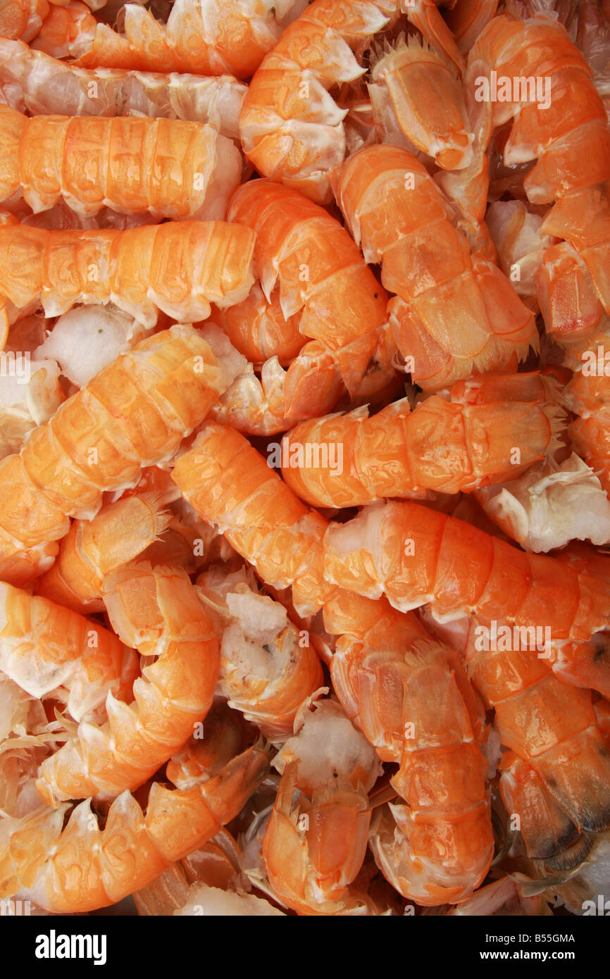 Raw uncooked lobster tails great for backgrounds and seafood images
