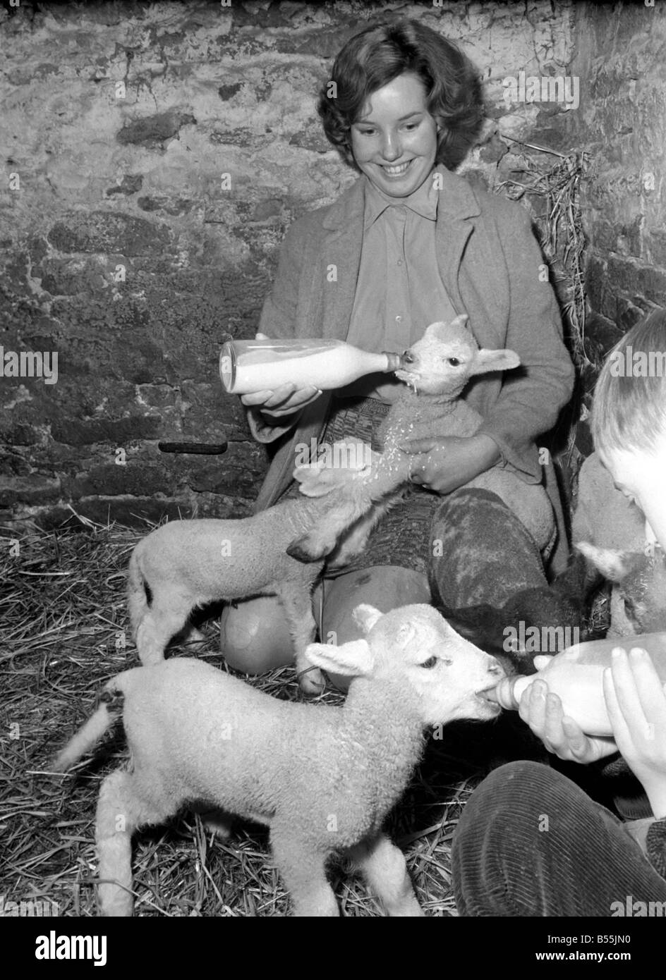 Susan Da Vies (22) and her brother John feeding some of the 36 newly