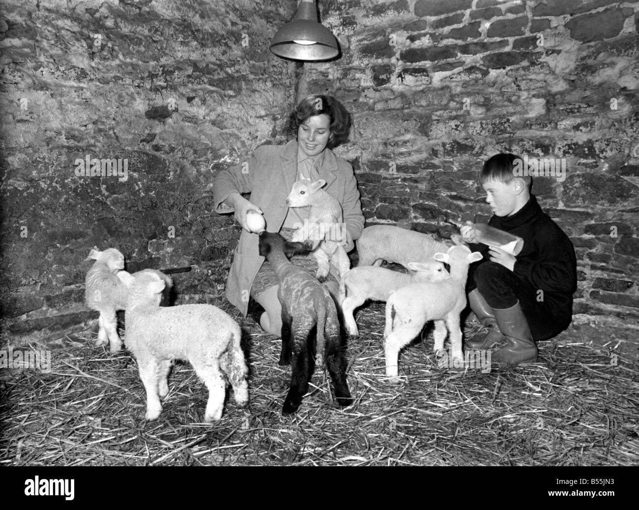 Susan Da Vies (22) and her brother John feeding some of the 36 newly
