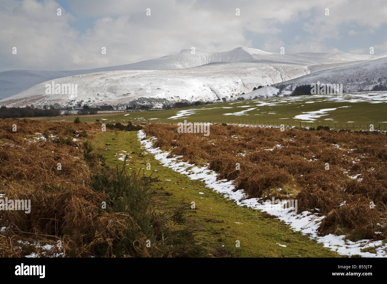 Snow covered Pen y fan from Camlais Ponds Stock Photo - Alamy