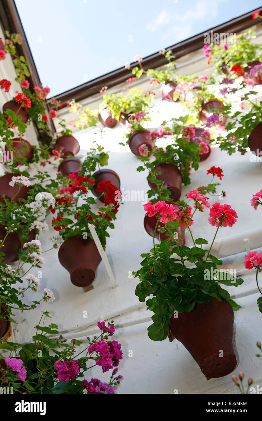Coloured plant pots with geraniums on a whitewashed wall in Spain Stock Photo