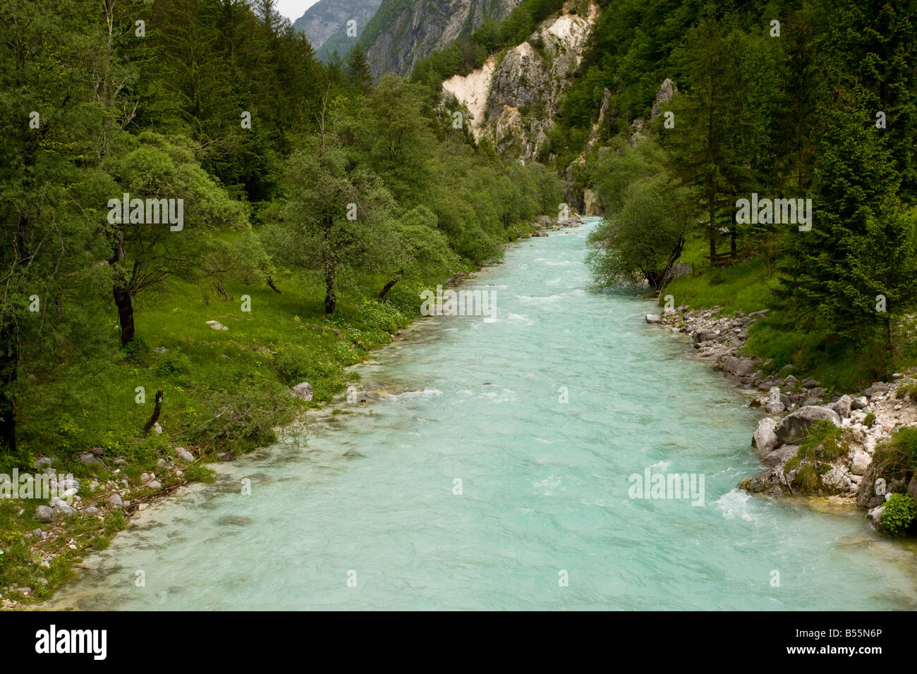 Glacial river heavily coloured by glacial rock flour River Soca Triglav National Park Slovenia Stock Photo
