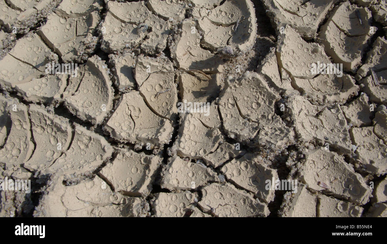 sun dried mud Stock Photo Alamy