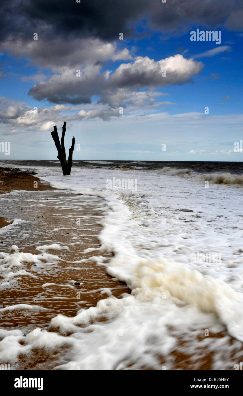 Dead Swell High Resolution Stock Photography and Images - Alamy