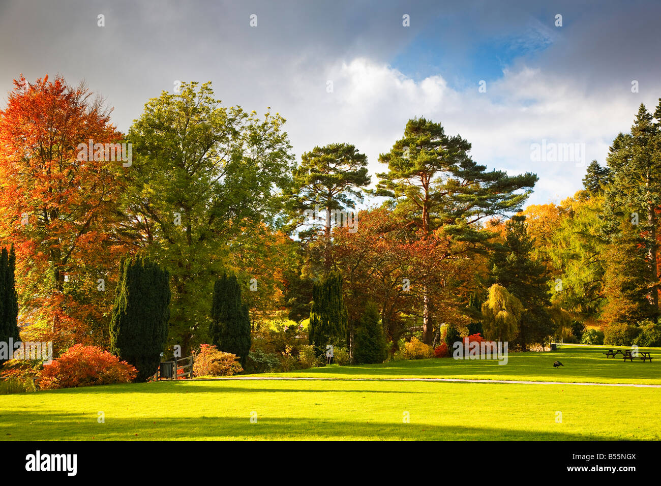 The grounds of Blair castle in the autumn time Perthshire Scotland