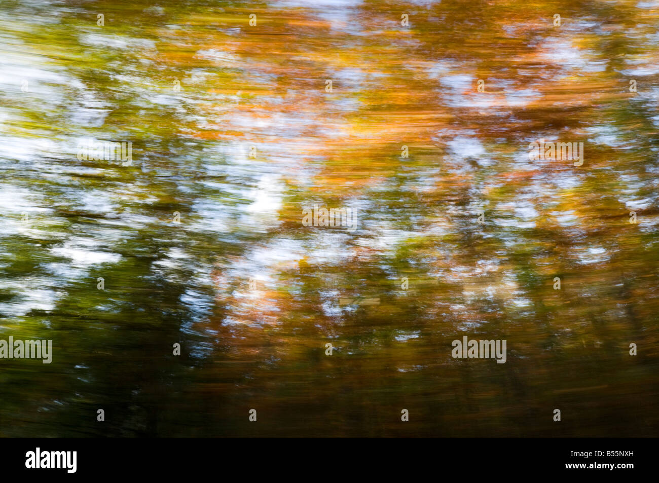 Blurred trees background, France. Stock Photo