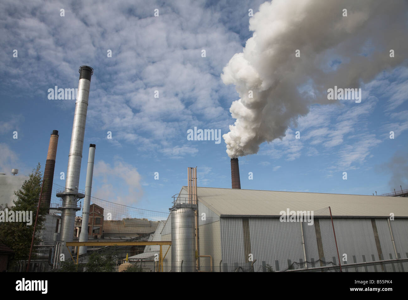 Steam smoke rising from chimney of sugar beet factory Bury St Edmunds