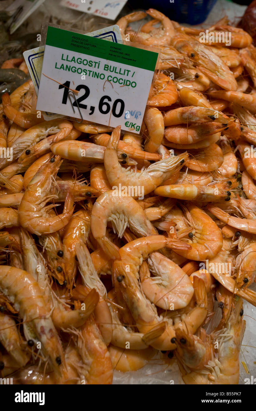 clams crab lobster mussels oysters prawns scampi shell fish shrimp