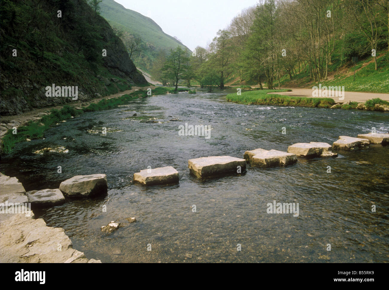 Stepping stones across the River Dove in Dovedale, a National Trust site, in the Peak District National Park, Derbyshire, UK Stock Photo