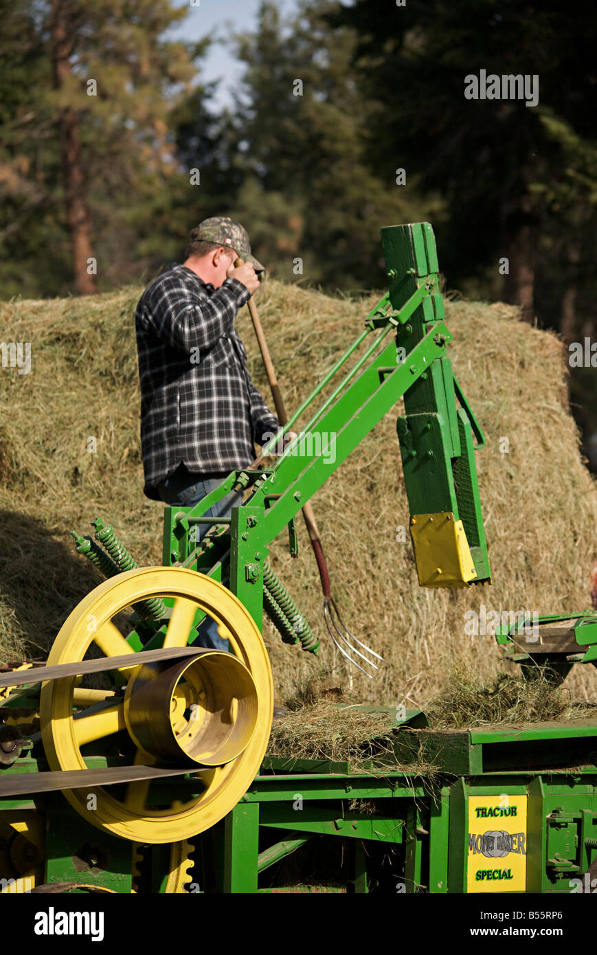 Hay bailing demonstration with a belt driven hay press during steam engine show, Westwold, "British Columbia", Canada Stock Photo