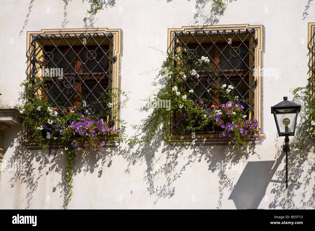 Windows with metal grilles and flowers set in white wall Regensburg Germany Stock Photo