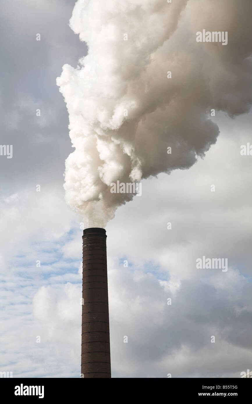 Steam smoke rising from chimney of sugar beet factory Bury St Edmunds