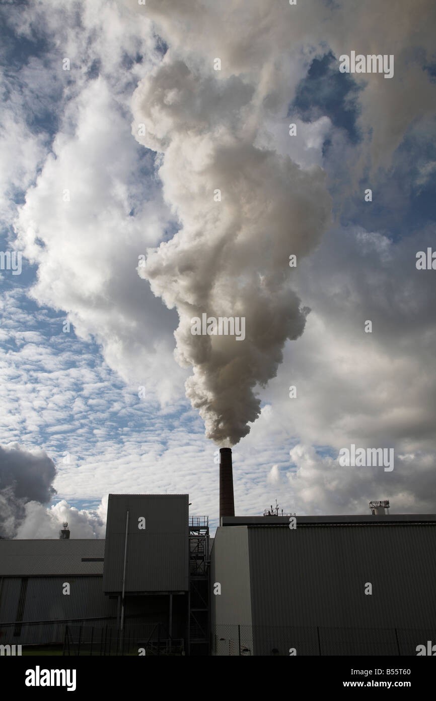 Steam smoke rising from chimney of sugar beet factory Bury St Edmunds