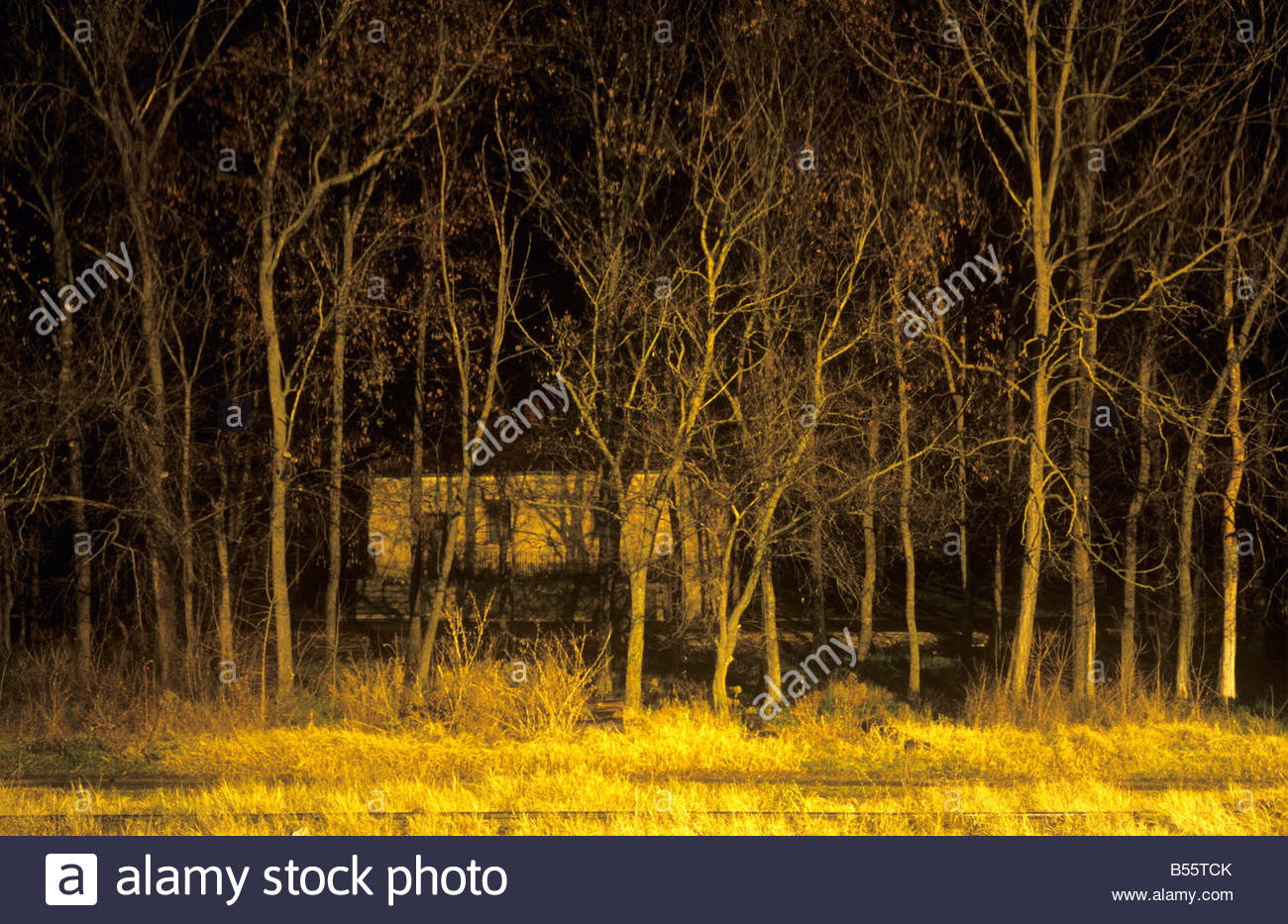 Creepy House Woods Stock Photos Creepy House Woods Stock Images