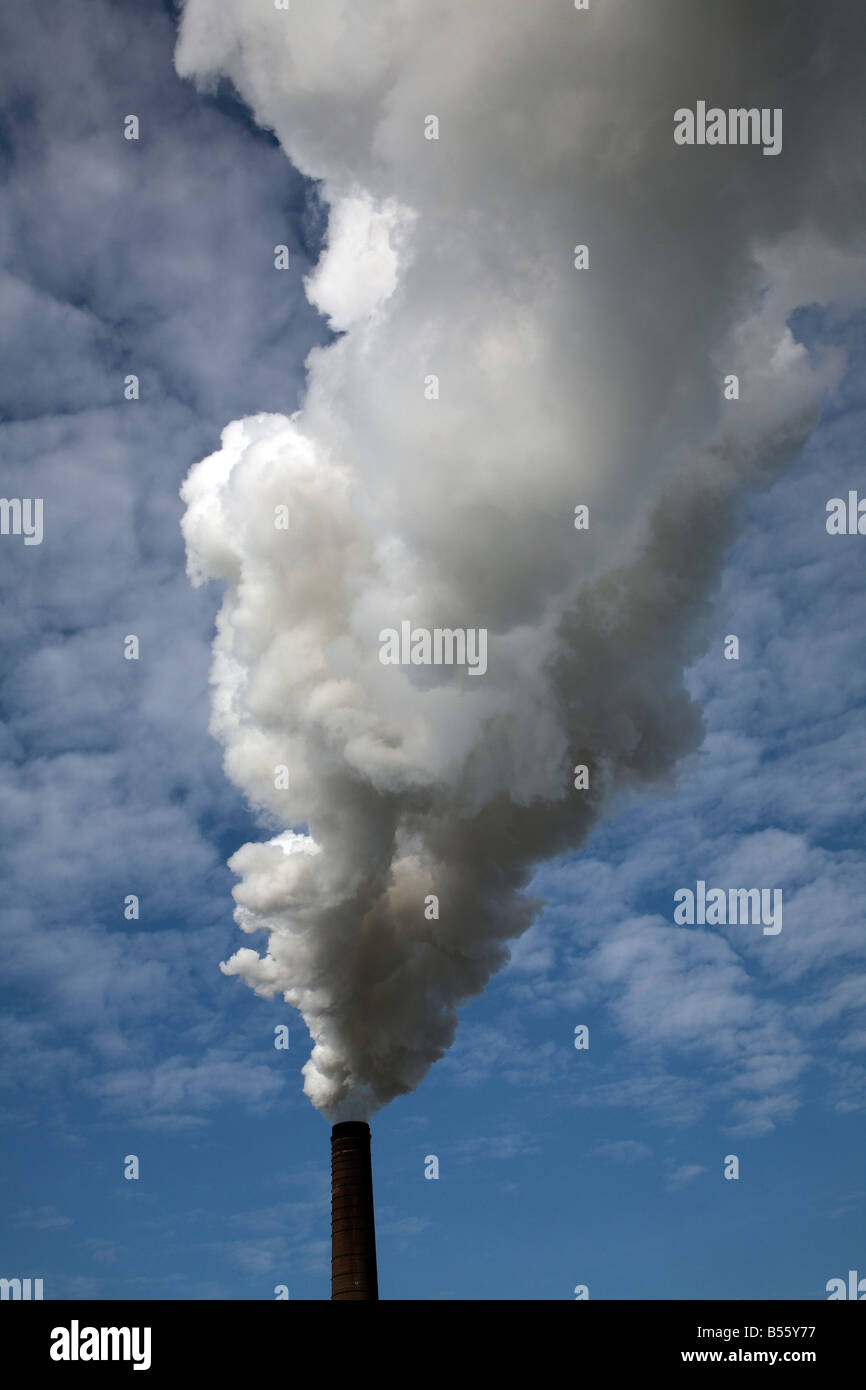 Steam smoke rising from chimney of sugar beet factory Bury St Edmunds ...
