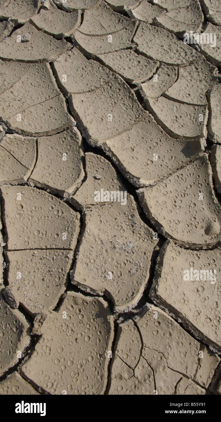 sun dried mud Stock Photo Alamy