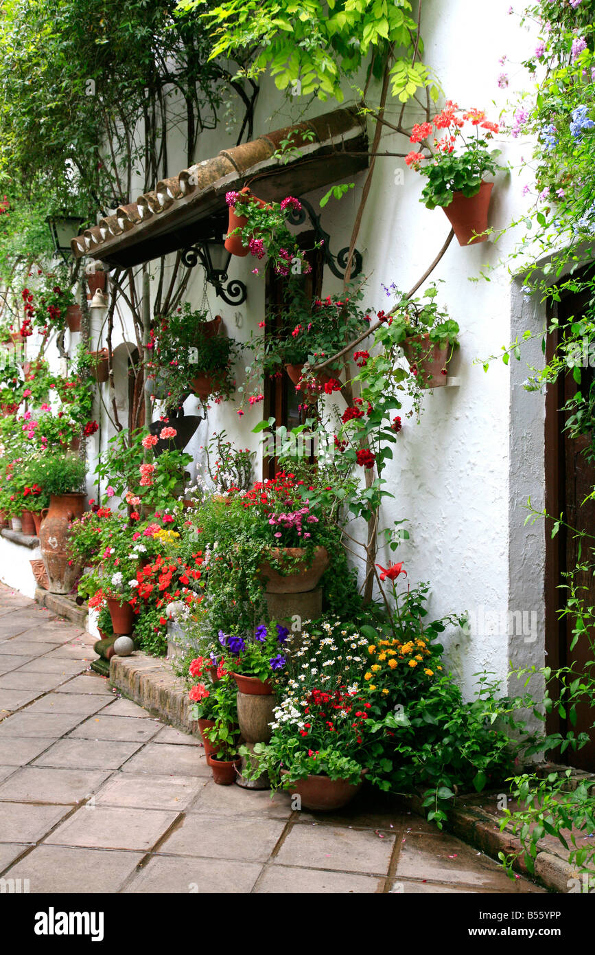 Plant pots in a Mediterranean courtyard garden part of The Festival of  Patios, Cordoba Andalucia Spain. El Concurso de los patio Stock Photo -  Alamy