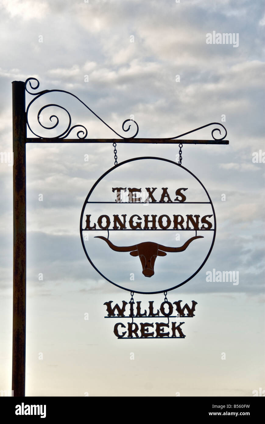 Texas Hill Country Texas Longhorns Willow Creek cattle ranch sign Stock Photo