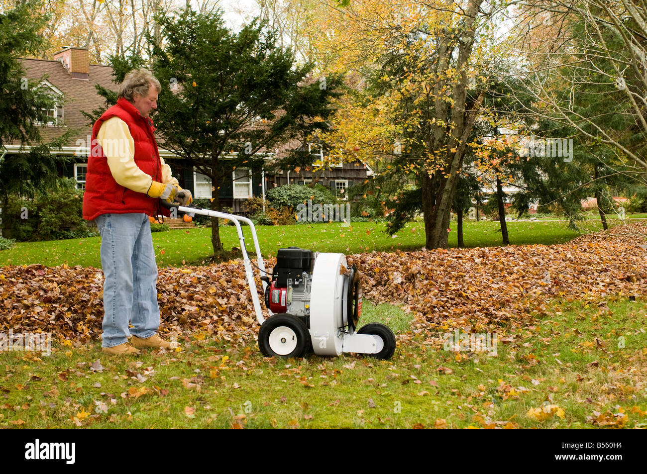 homeowner using leaf blower professional push style with pile of leaves