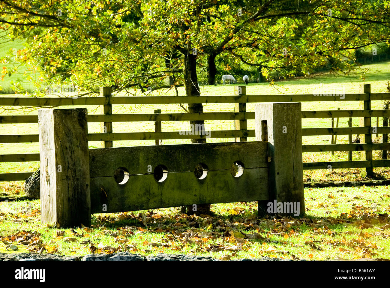 medieval stocks Stock Photo Alamy