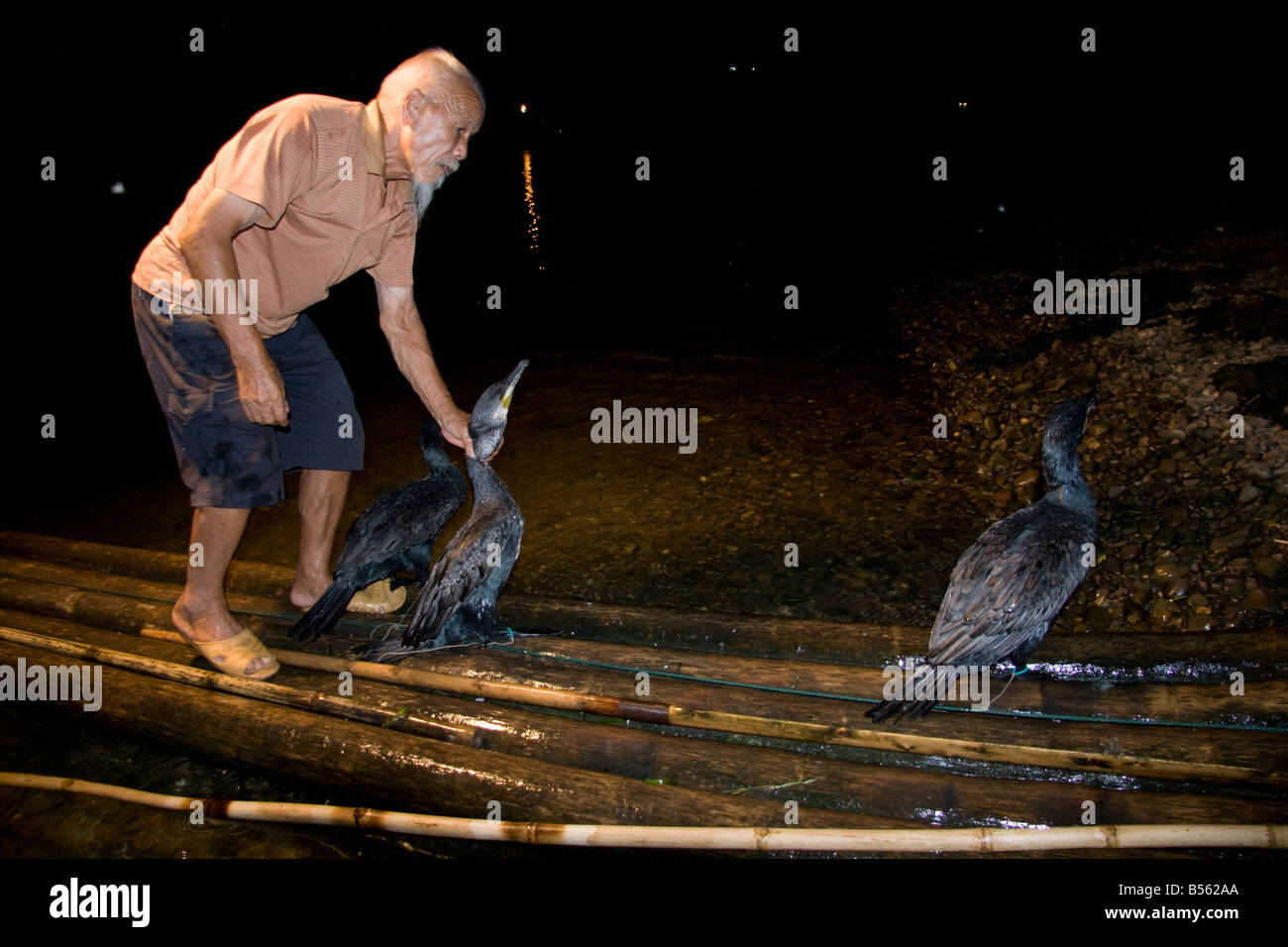 Cormorant fisherman in Yangshuo, China Stock Photo Alamy