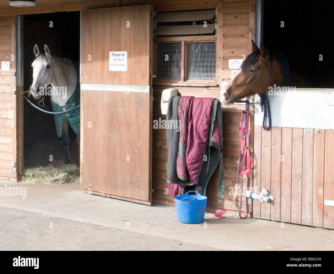 UK- Horse stables at Lee Valley Riding Centre and nature reserve in London Photo © Julio Etchart Stock Photo