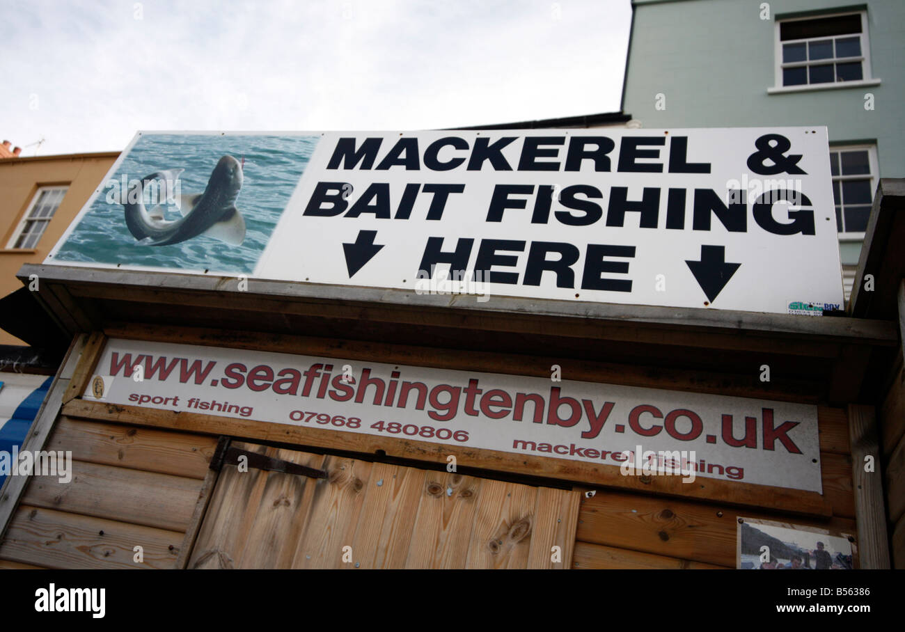 Mackerel and Bait Fishing Here Sign, Tenby, Pembrokeshire, Wales Stock